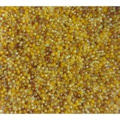 No: 231 Miyuki Delica 11/00 DB2061 | Karışık Sarı Tonları 3 gram